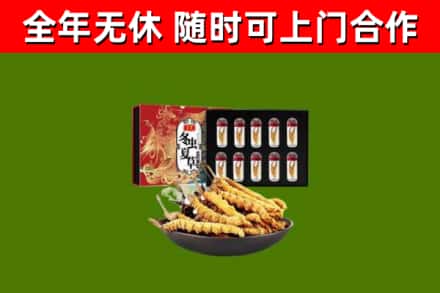 汝州回收冬虫夏草价格